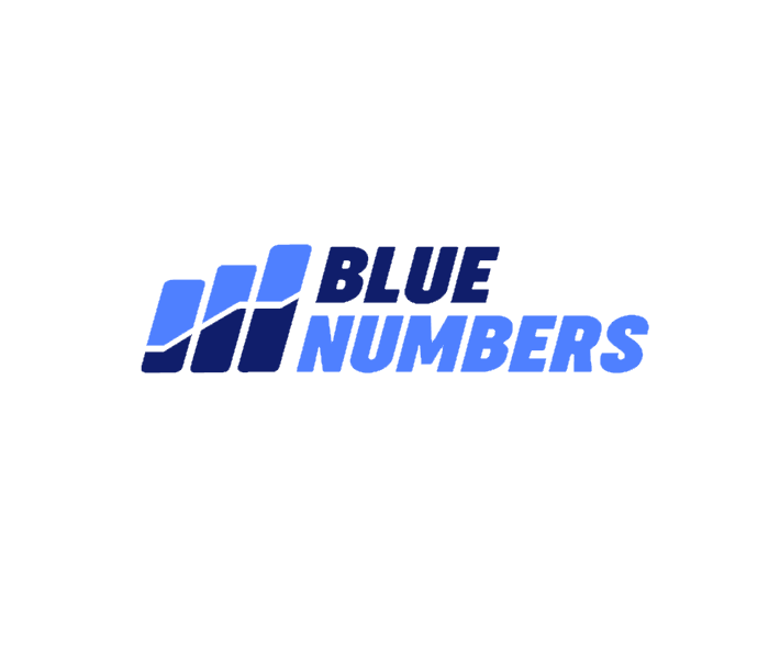 BlueNumbers Logo